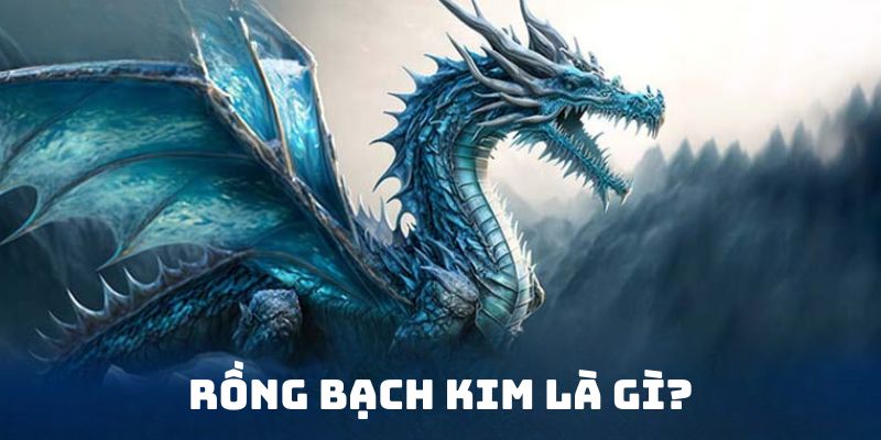 Khái niệm rồng bạch kim nhà cái