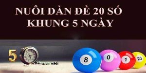 Dàn đề 20 số - Cẩm nang nuôi dàn chính xác nhất 2025
