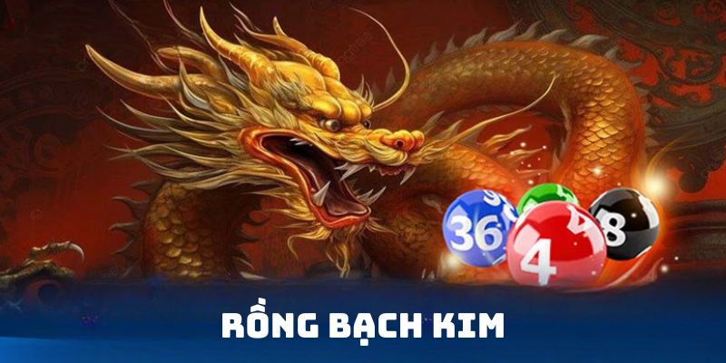 Rồng Bạch Kim Kubet - Cách Thức Soi Cầu Hot Hit Mới Nhất 2025