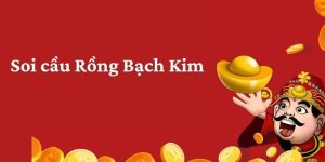 Những Cách Soi Cầu Bạch Kim Hiệu Quả, Chính Xác 100%
